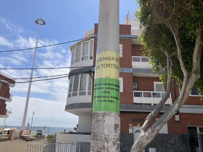 Quejas vecinales en Salinetas por la proliferación de tórtolas y palomas/TA